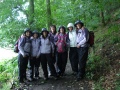 Picture 111
