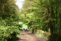 img 5781