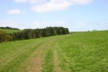 img 5787