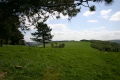 img 5789