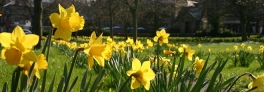 banner 02