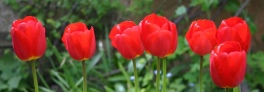 banner 08